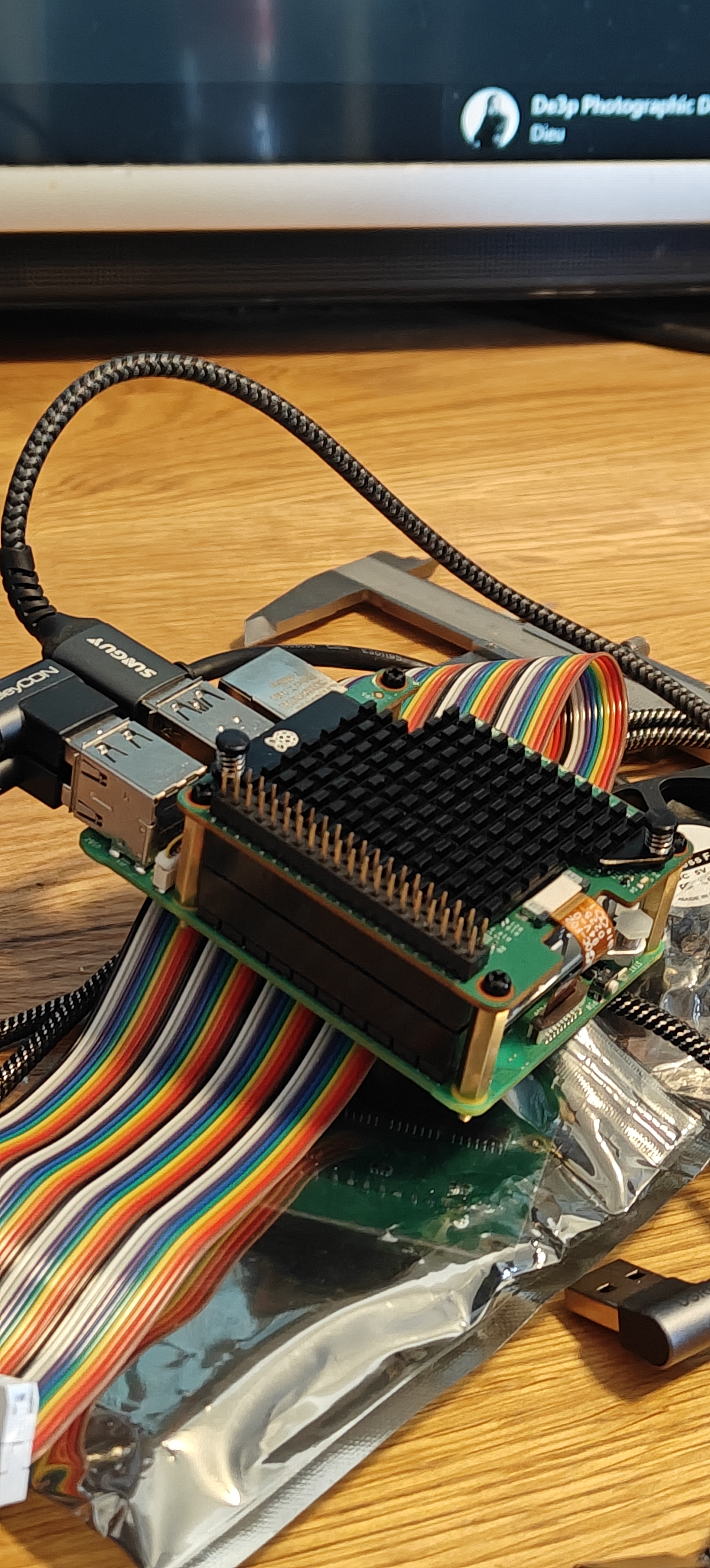 Le Raspberry Pi 5 d'Echo, dissipateur et câbles